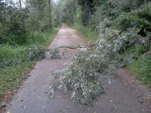 Weg verlegt am Traunradweg